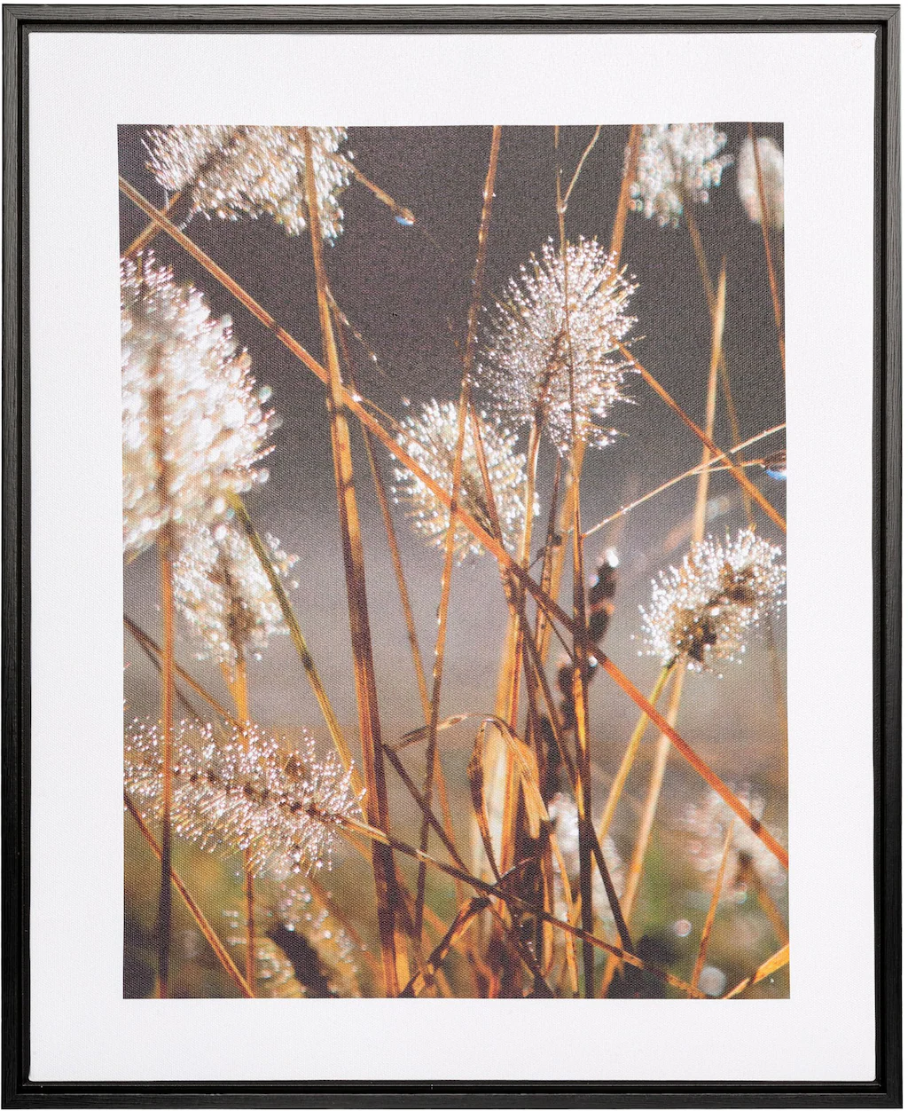 Creativ home Bild mit Rahmen "Leinwandbild Blüten mit Tropfen", (1 St.), mi günstig online kaufen