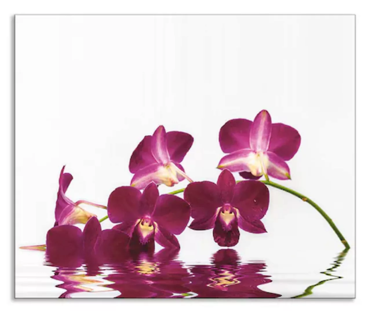 Artland Küchenrückwand "Phalaenopsis Orchidee", (1 tlg.), Alu Spritzschutz günstig online kaufen