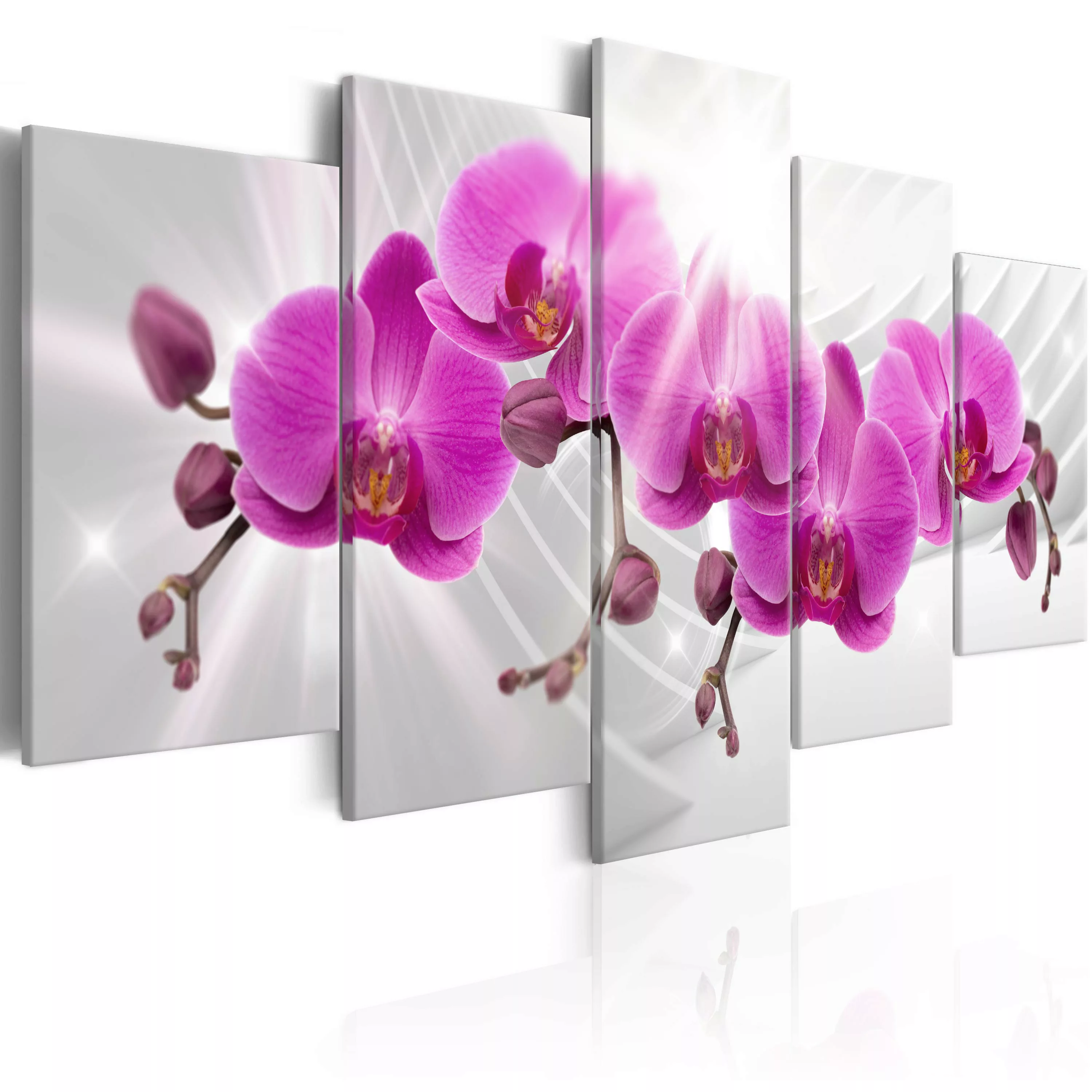 Wandbild - Abstract Garden: Pink Orchids günstig online kaufen