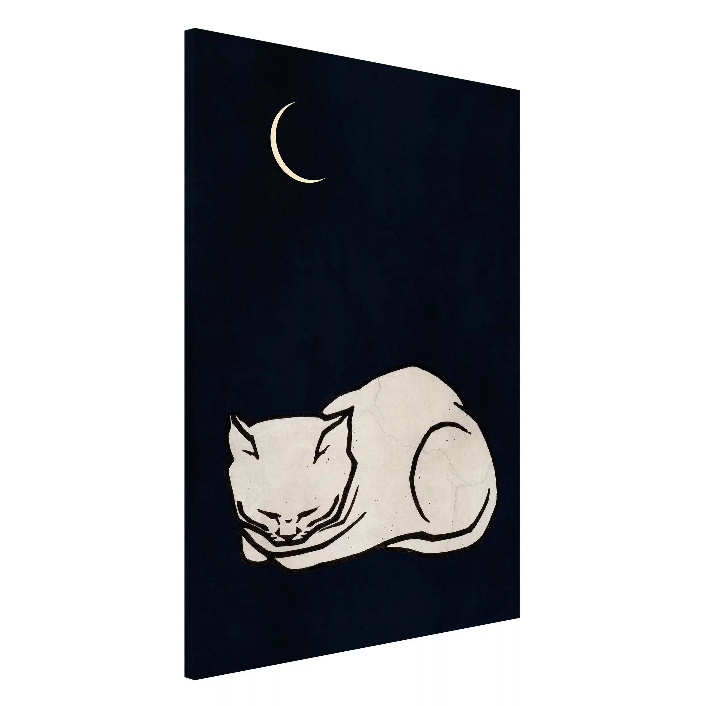 Magnettafel Schlafende Katze Illustration günstig online kaufen