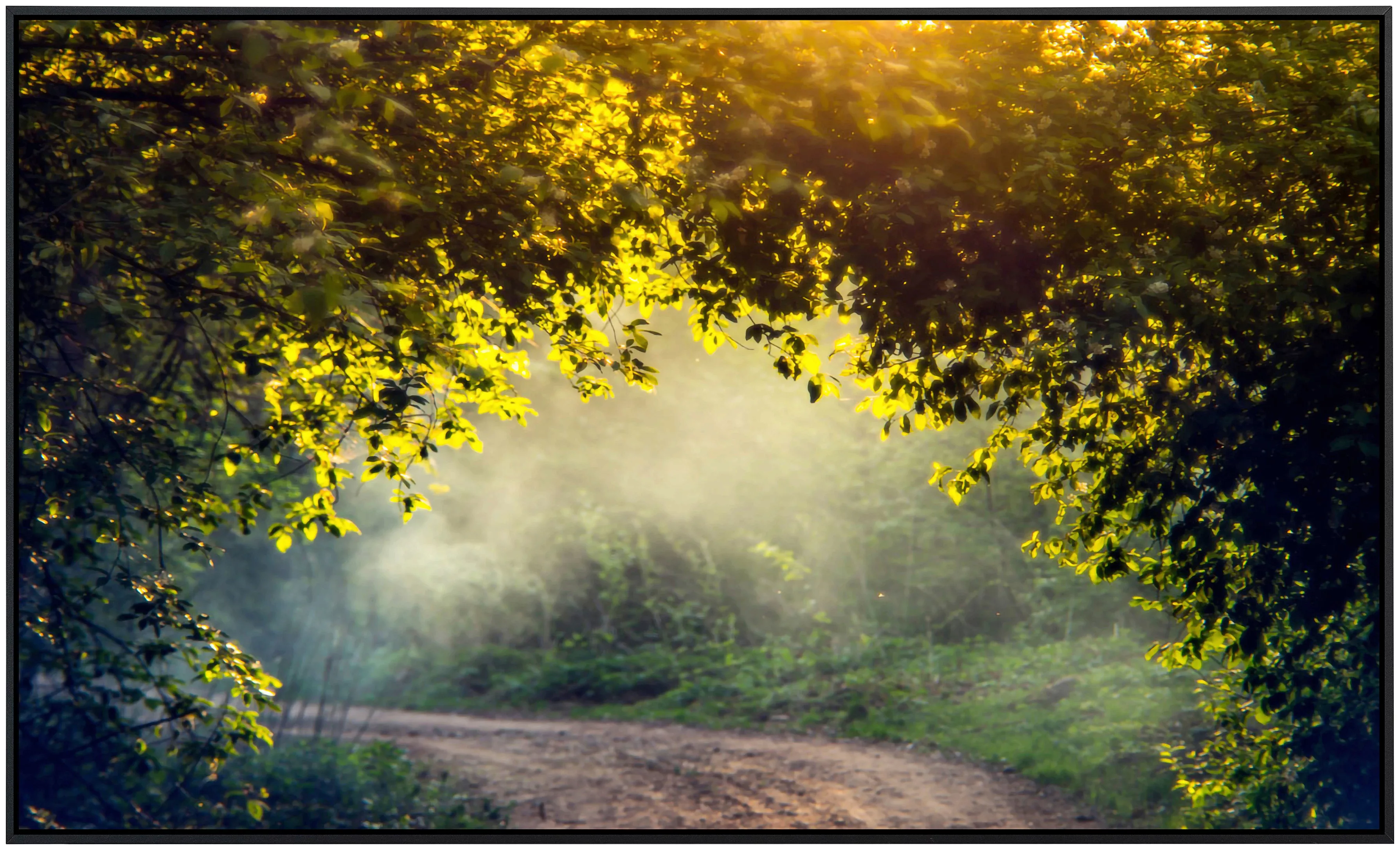 Papermoon Infrarotheizung »Nebelwald im Frühling«, sehr angenehme Strahlung günstig online kaufen
