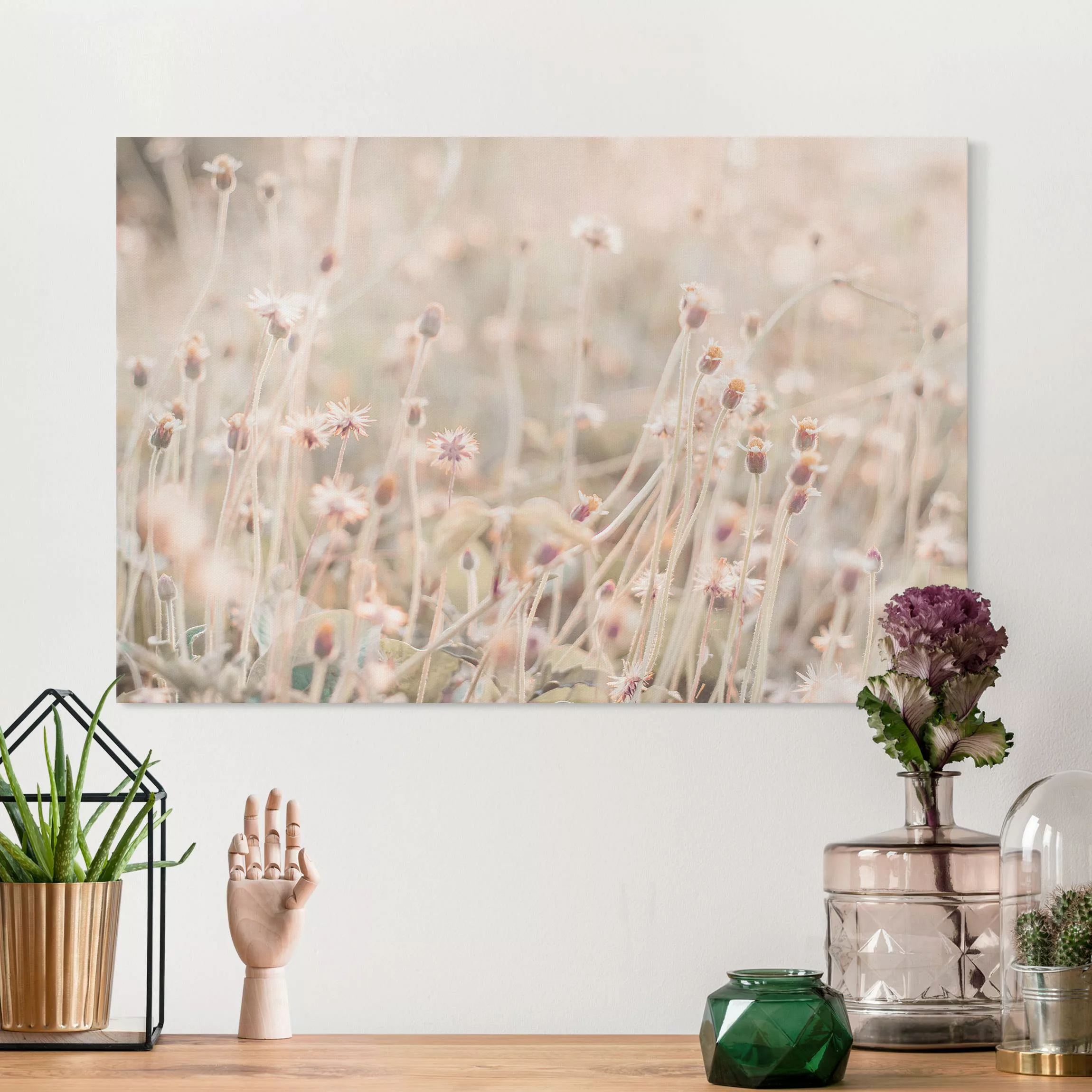 Leinwandbild Strahlende Blumenwiese günstig online kaufen
