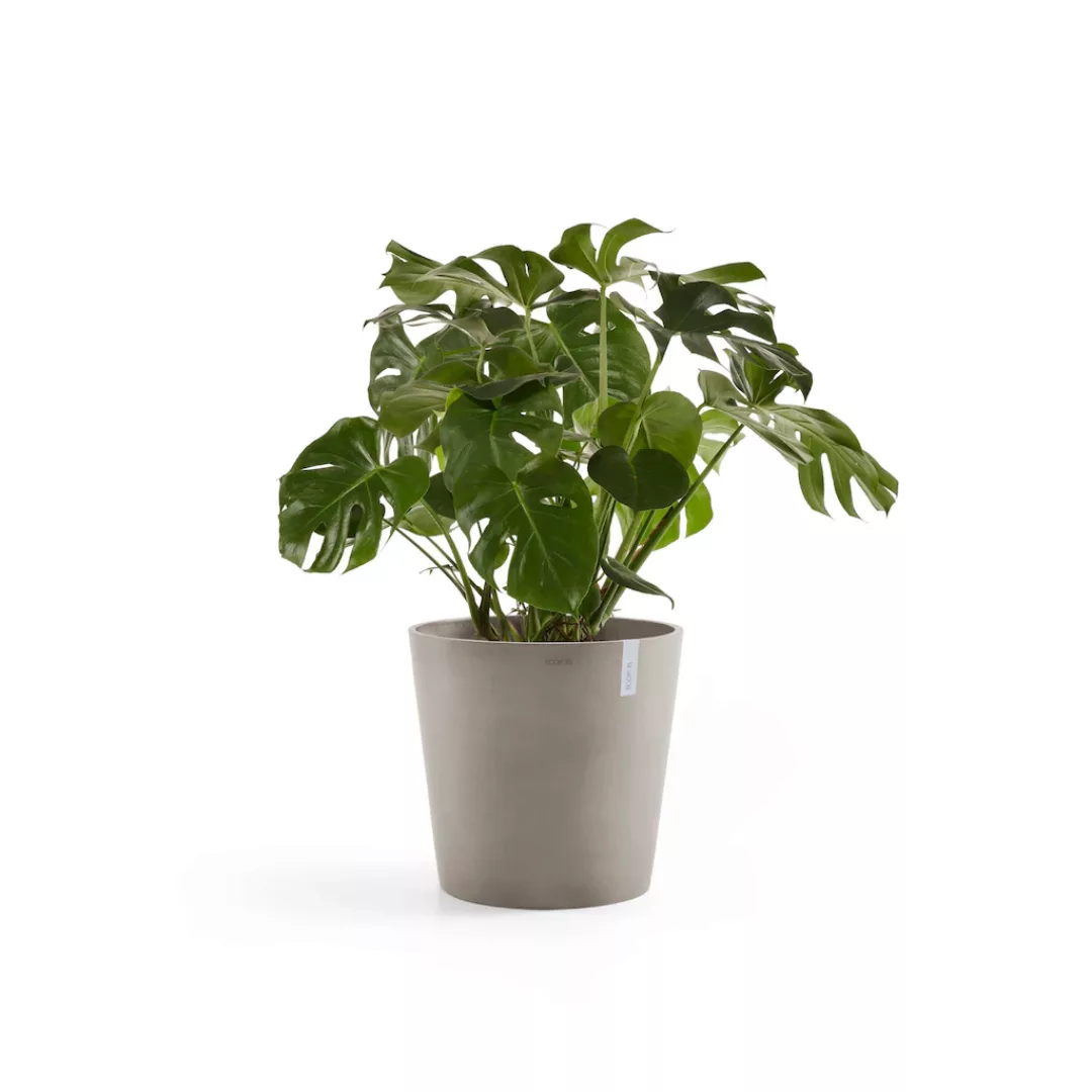 Ecopots Pflanztopf Amsterdam Braungrau 50 cm günstig online kaufen