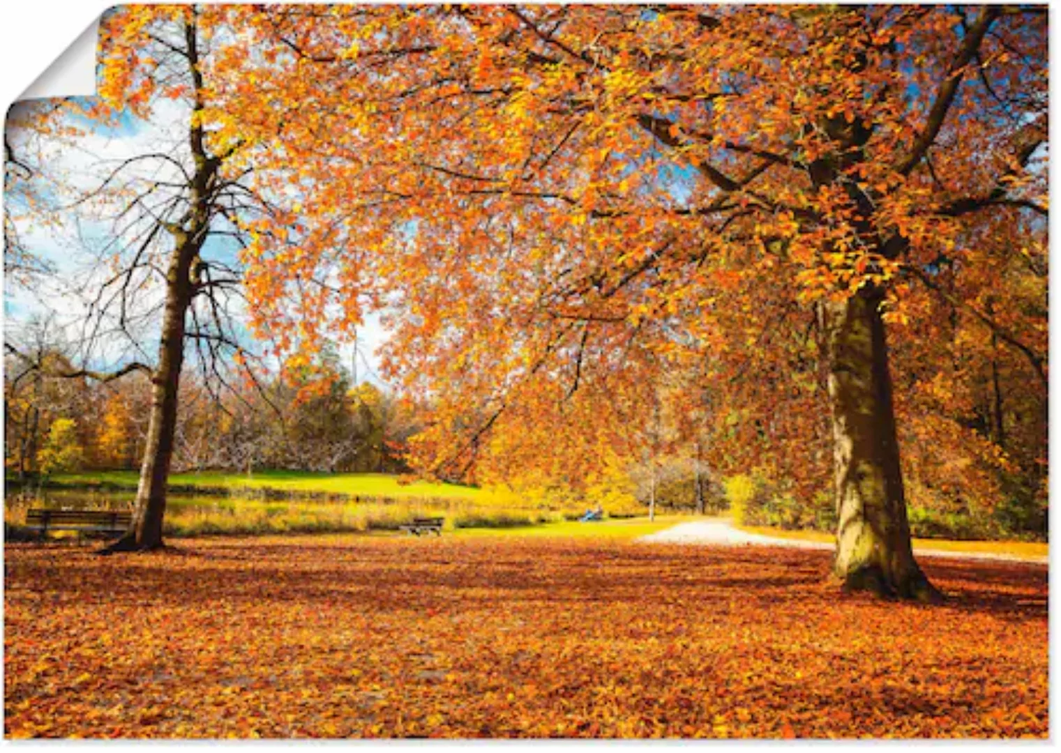 Artland Wandbild »Herbst bei Schlosses Nymphenburg«, Wiesen & Bäume, (1 St. günstig online kaufen