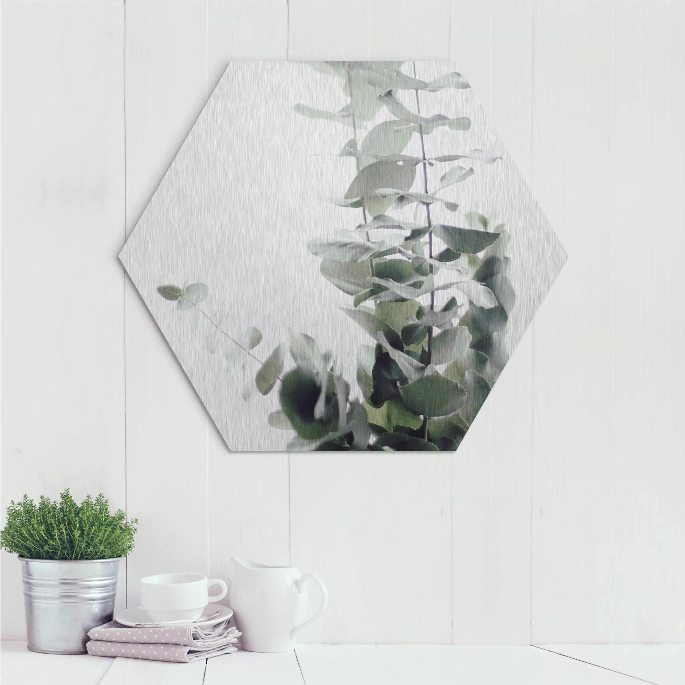 Hexagon-Alu-Dibond Bild Eukalyptus im Weißen Licht günstig online kaufen