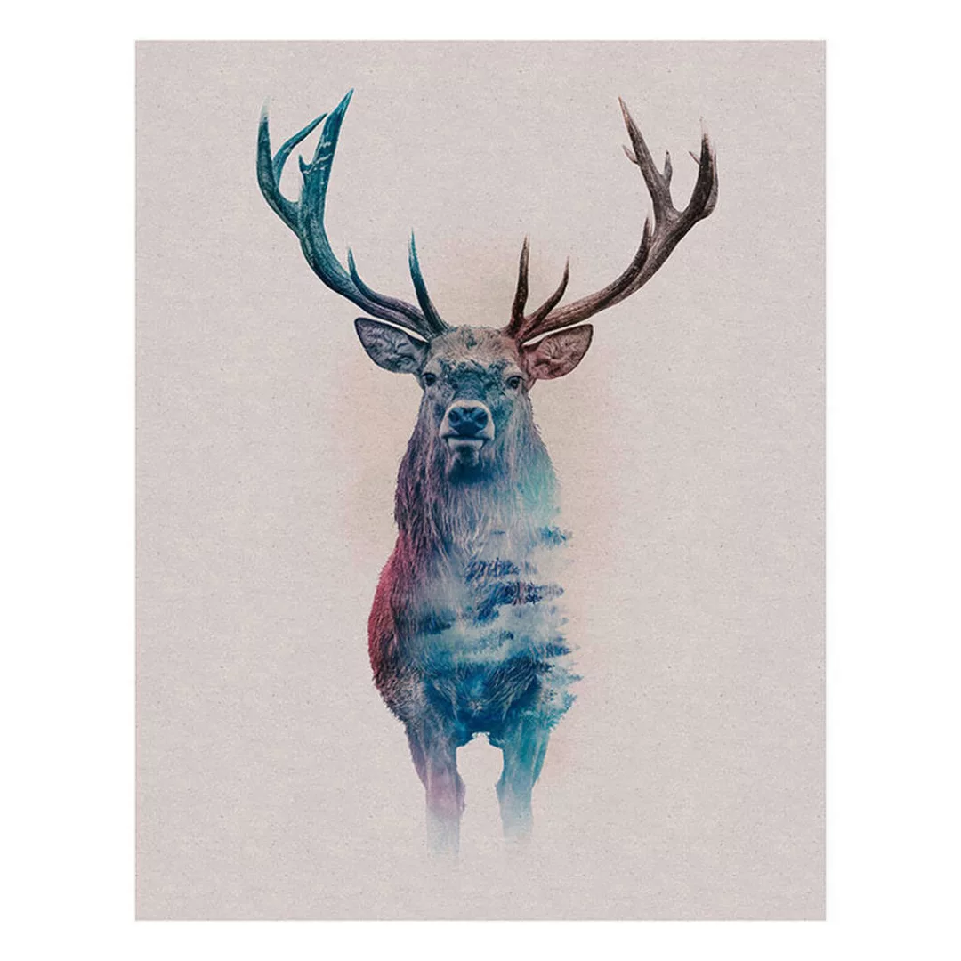 Komar Wandbild Animals Forest Deer Hirschkopf B/L: ca. 40x50 cm günstig online kaufen