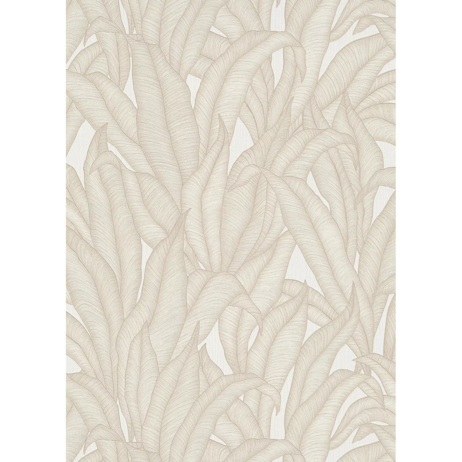 Bricoflor Palmenblätter Tapete Weiß Grau Ideal für Schlafzimmer und Badezim günstig online kaufen