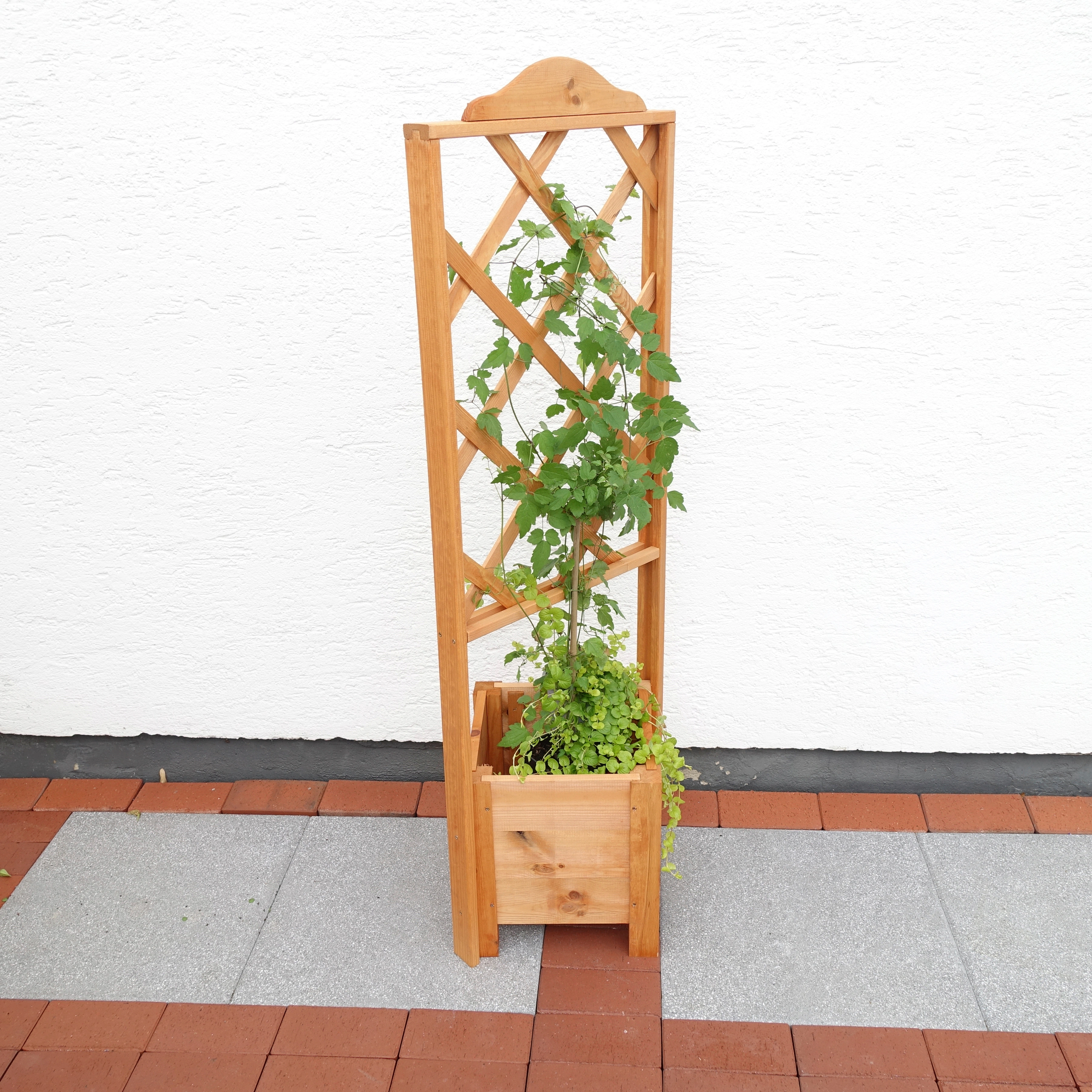 promadino Pflanzentreppe "Eckelement "Botanica" 140 cm" günstig online kaufen