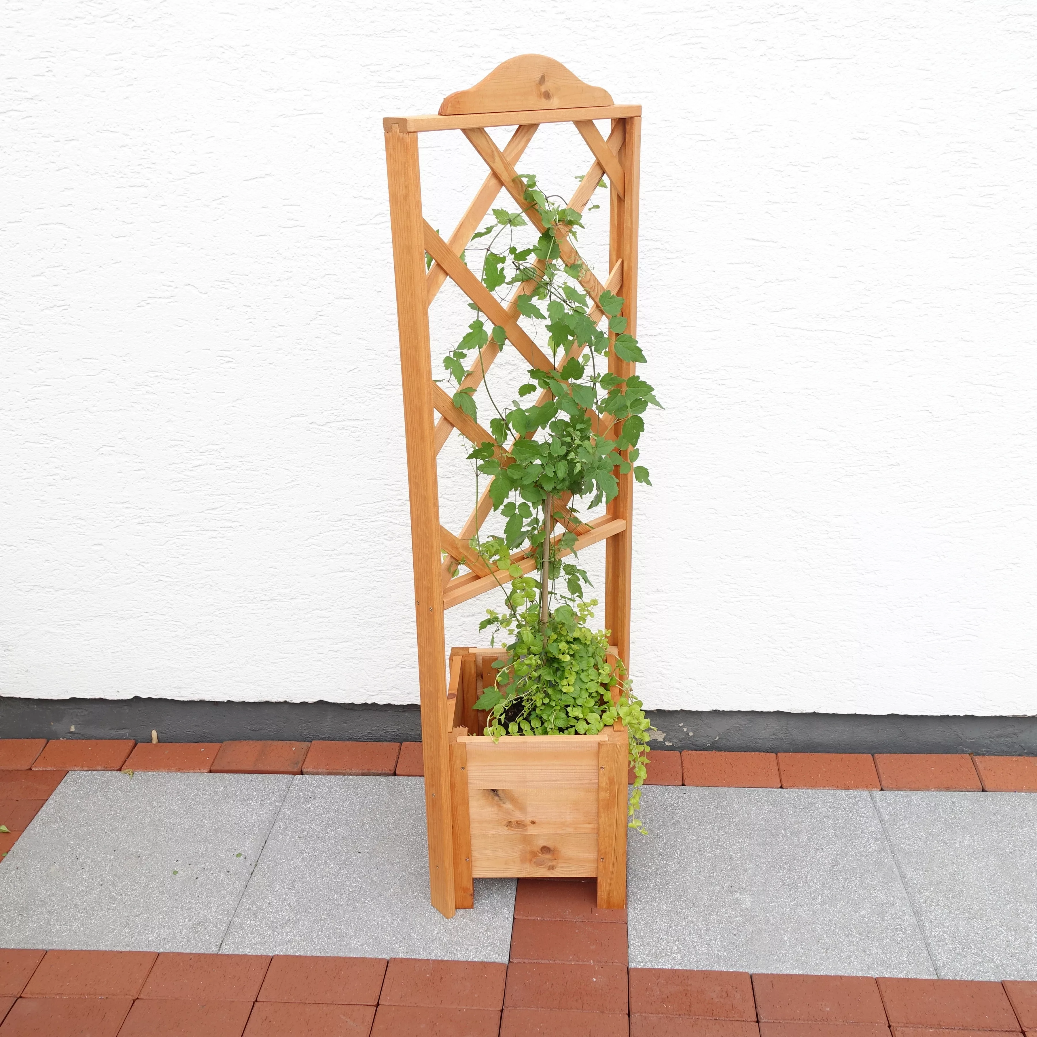 promadino Pflanzentreppe "Eckelement "Botanica" 140 cm", BxTxH: 47x45x140 c günstig online kaufen