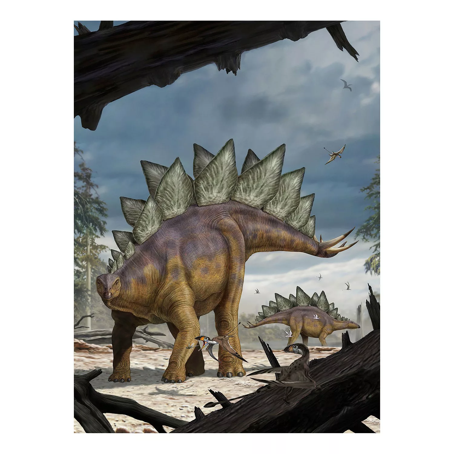 KOMAR Vlies Fototapete - Stegosaurus - Größe 184 x 248 cm mehrfarbig günstig online kaufen