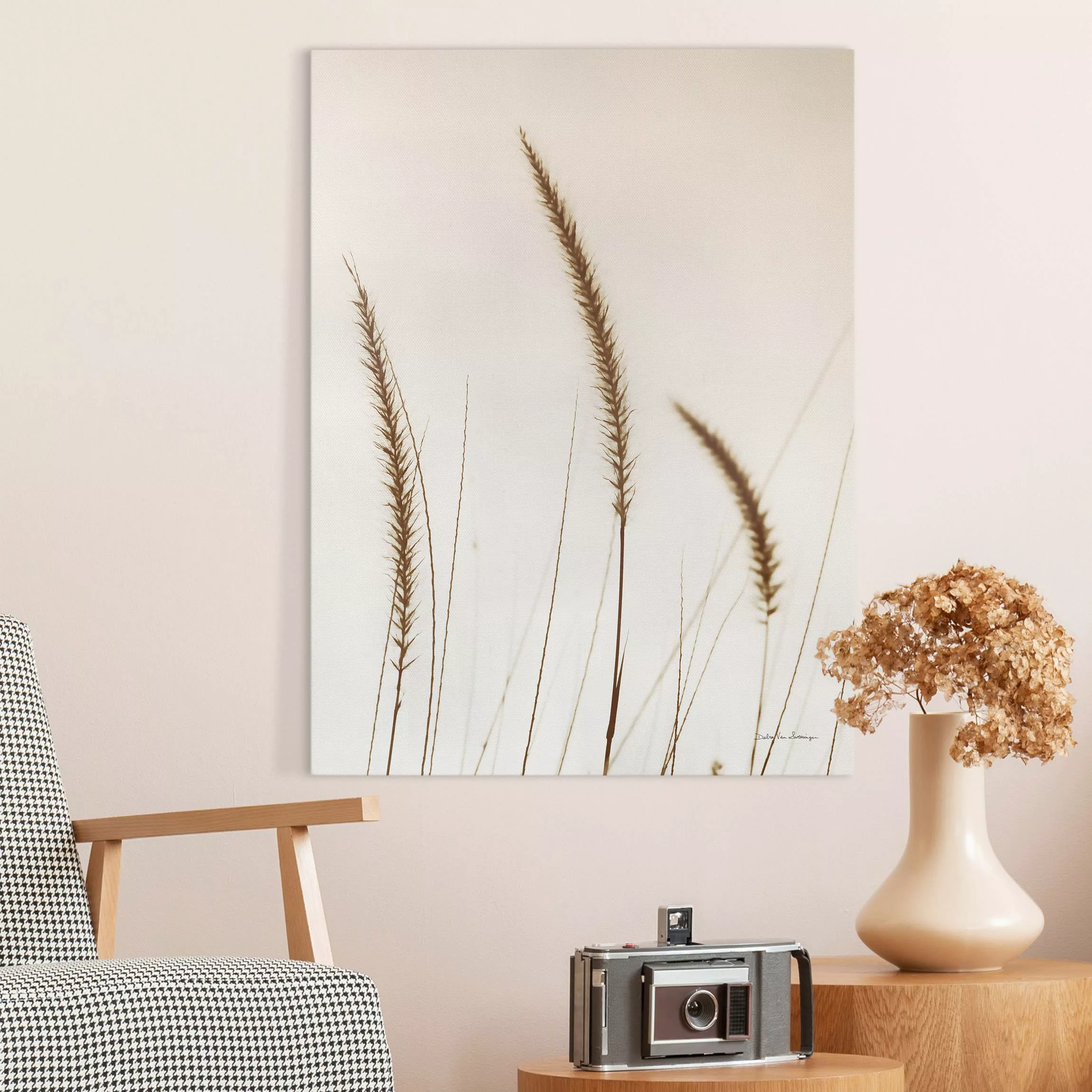 Leinwandbild Feldgrass in Sepia II günstig online kaufen