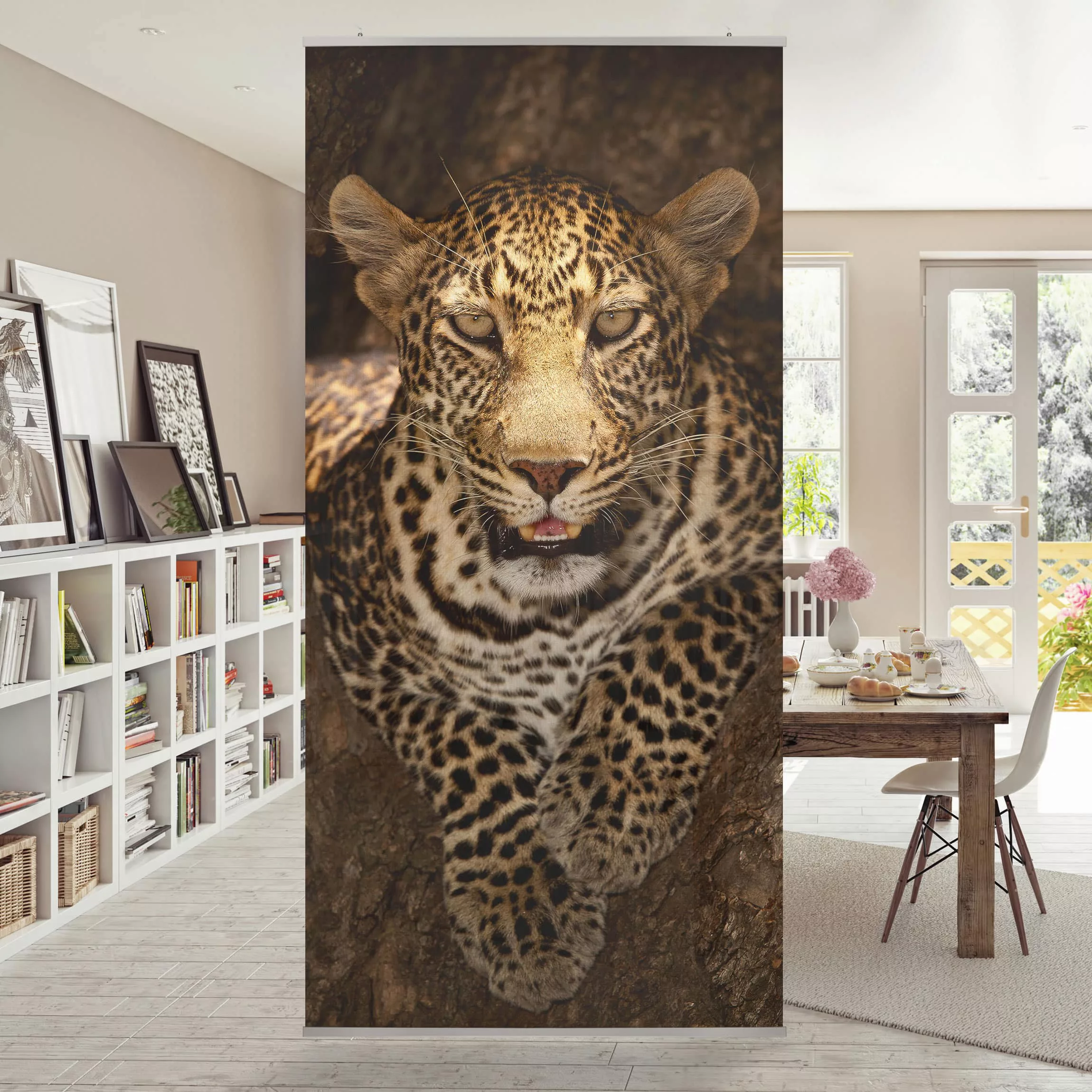 Raumteiler Tiere Leopard Ruht Auf Einem Baum günstig online kaufen