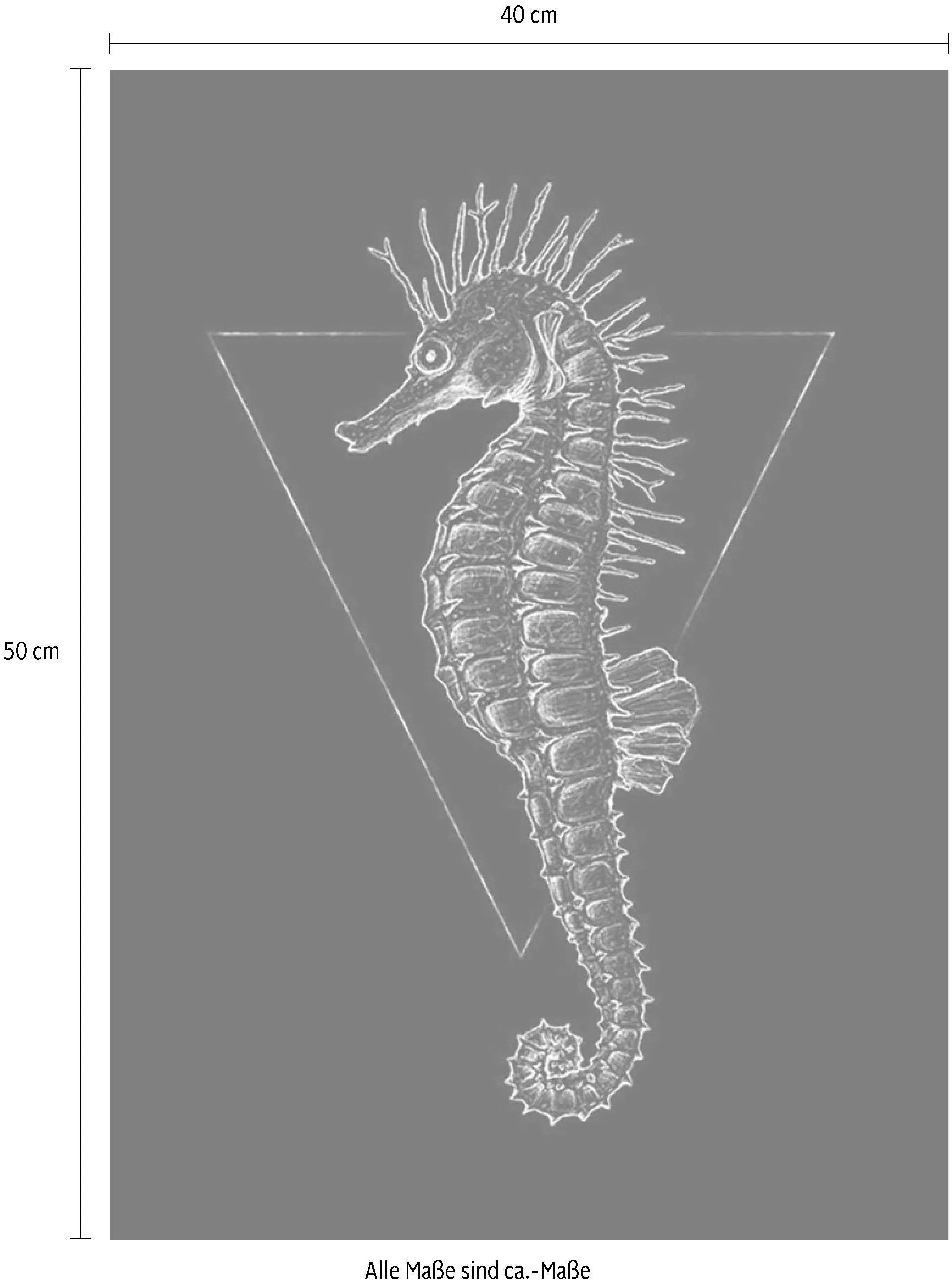 Komar Poster "Sea Horse Black", Tiere, (1 St.), Kinderzimmer, Schlafzimmer, günstig online kaufen