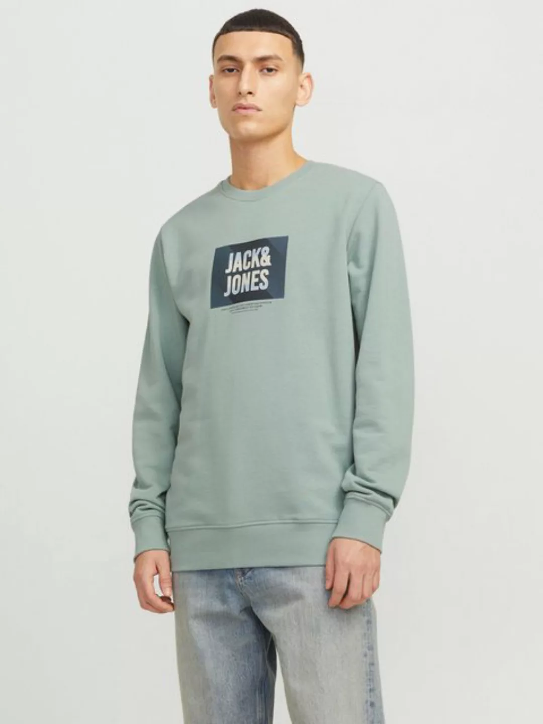 Jack & Jones Sweatshirt JJHUDSON SWEAT CREW NECK günstig online kaufen