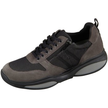 Xsensible  Halbschuhe Schnuerschuhe SWX 3 grau -851 günstig online kaufen