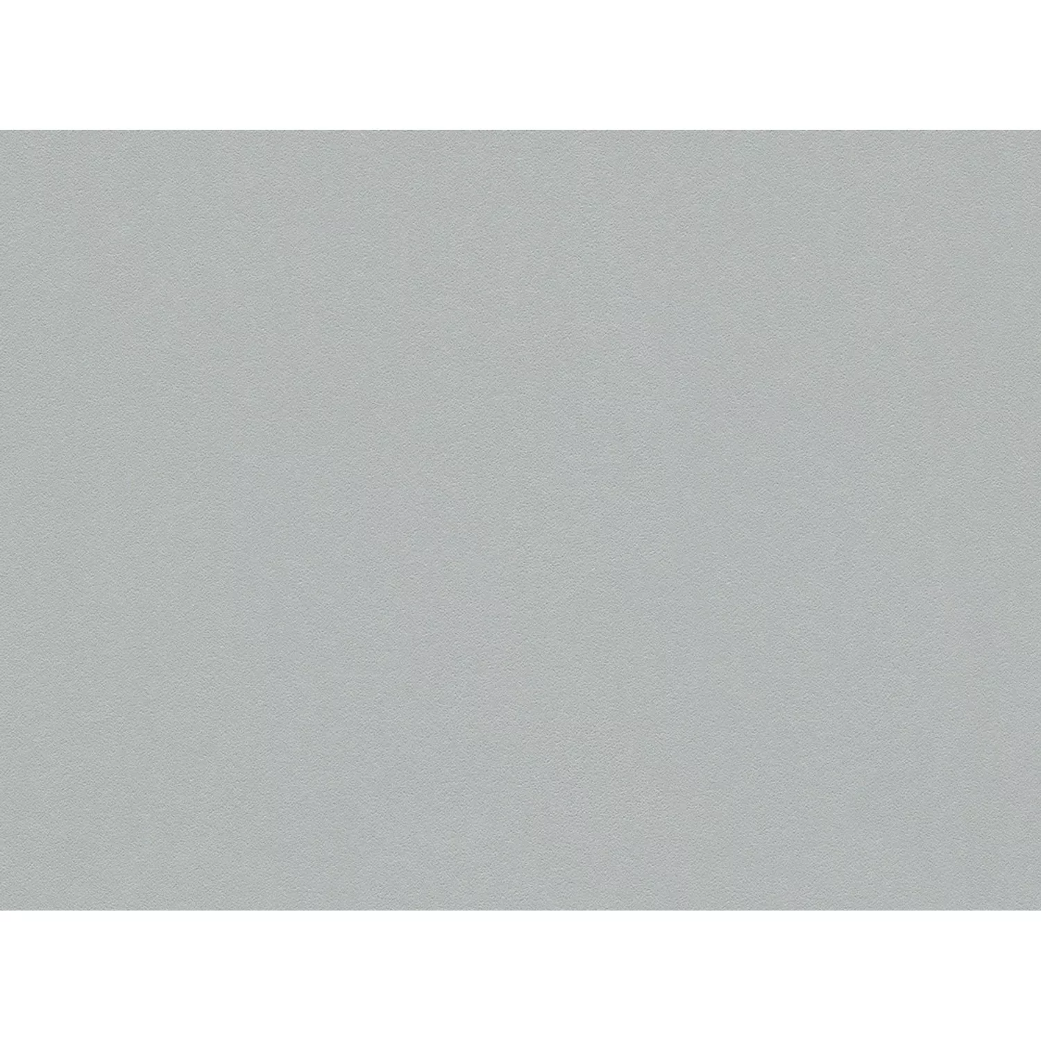 A.S.Creation Vliestapete Glatte Wand Grau FSC® günstig online kaufen