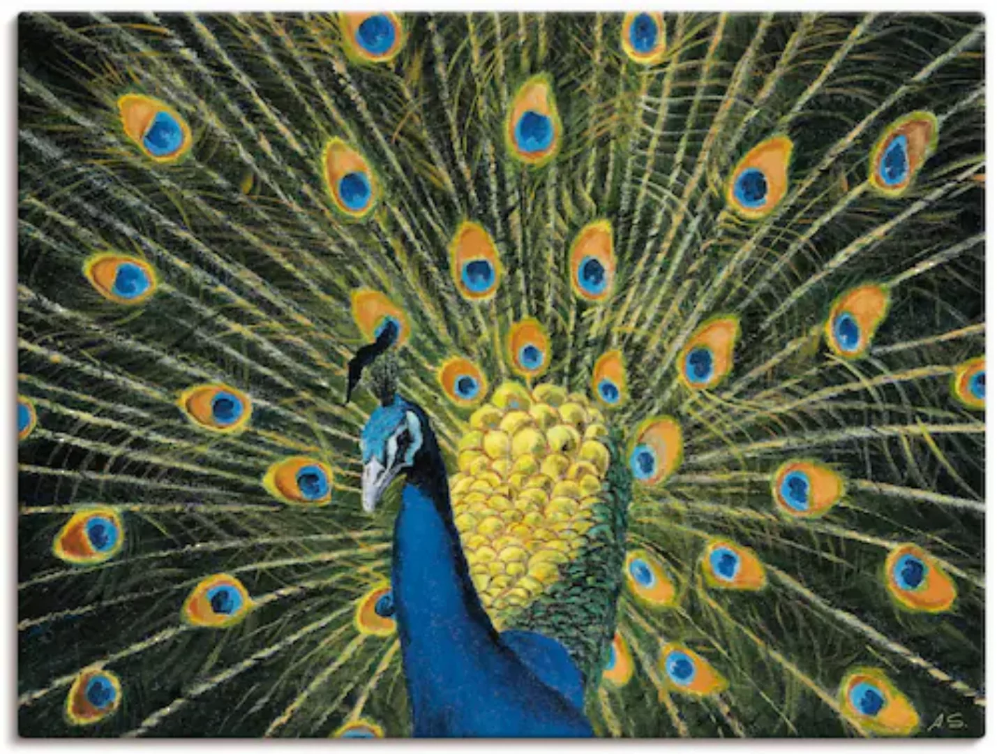 Artland Wandbild "Pfau", Vögel, (1 St.), als Alubild, Outdoorbild, Leinwand günstig online kaufen