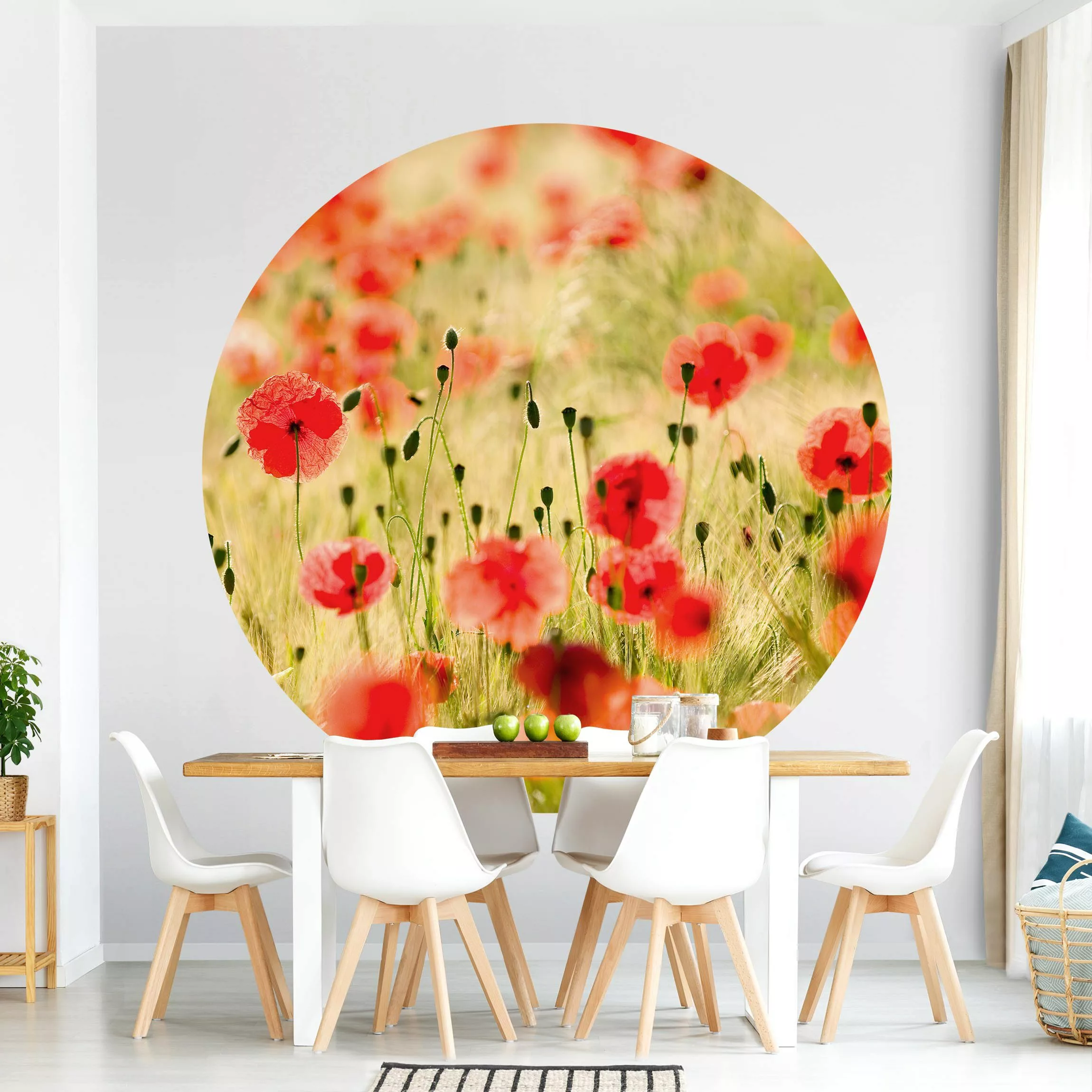 Runde Fototapete selbstklebend Summer Poppies günstig online kaufen