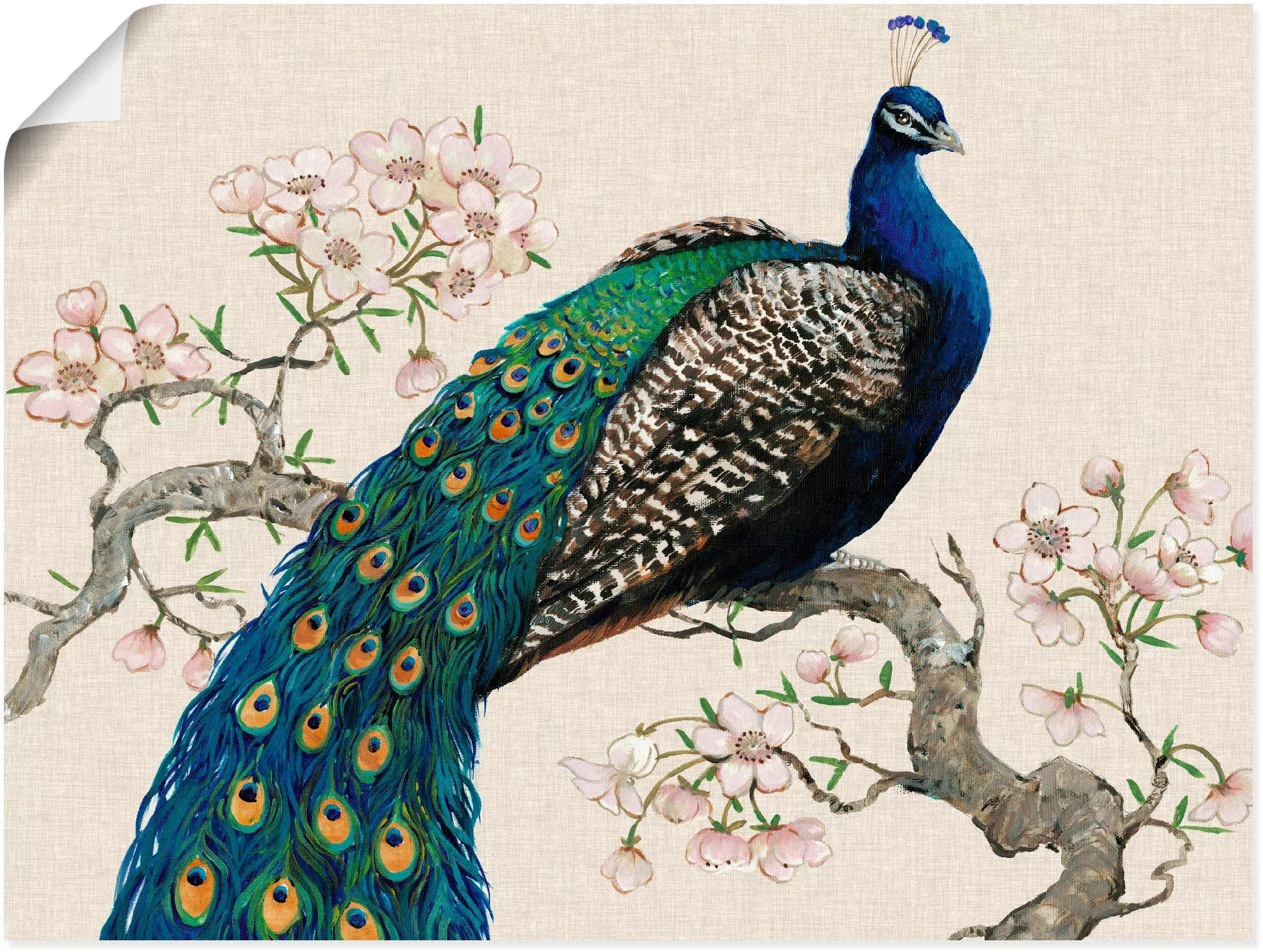 Artland Wandbild »Pfau & Blüten I«, Vögel, (1 St.) günstig online kaufen