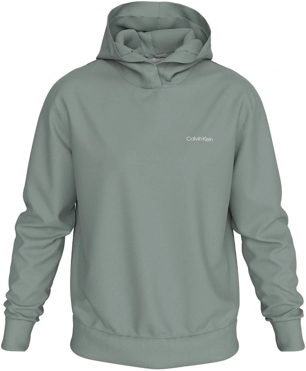 Calvin Klein Kapuzensweatshirt ENLARGED BACK LOGO HOODIE mit Logodruck günstig online kaufen