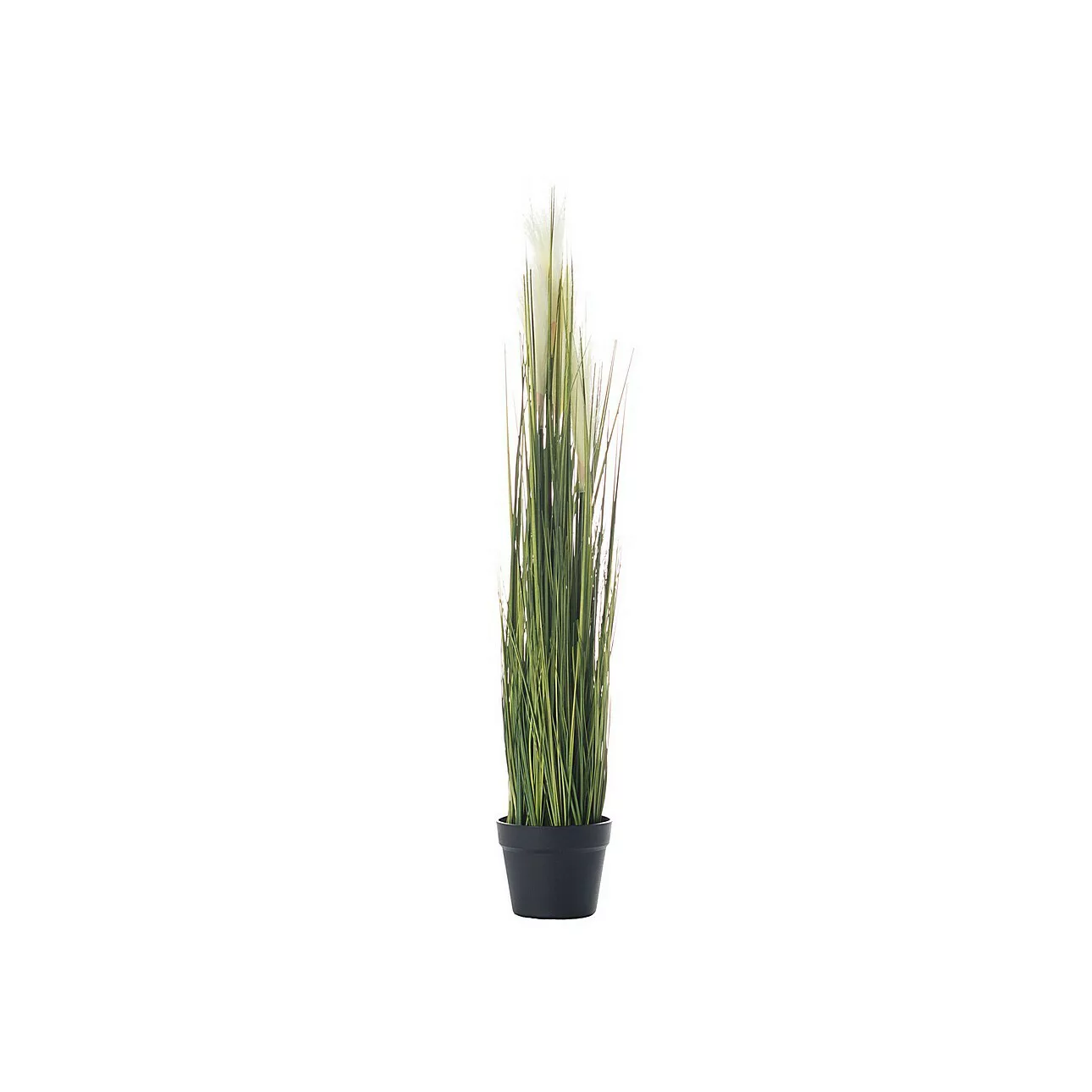 Dekoration Pampas Grass 100cm, 100 cm günstig online kaufen