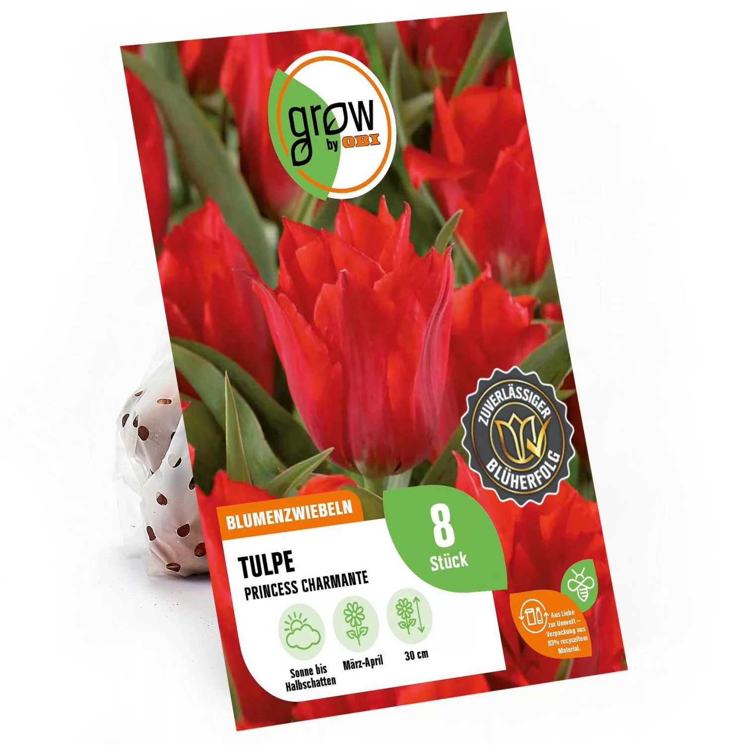 GROW by OBI Greigii-Tulpe Princess Charmante Rot 30 cm Tulipa greigii günstig online kaufen