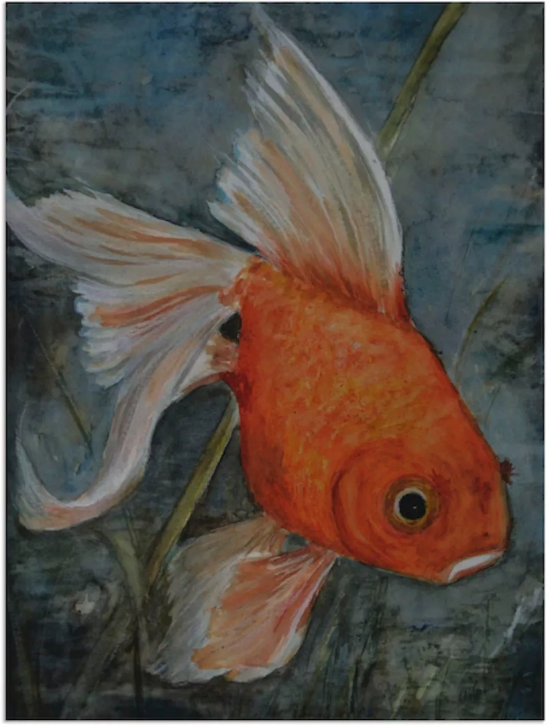 Artland Alu-Dibond-Druck "Feng Shui - Goldfisch", Wassertiere, (1 St.) günstig online kaufen