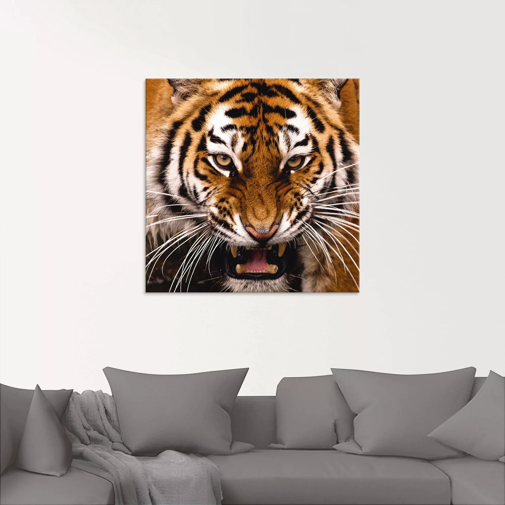 Artland Glasbild "Tiger Kopf", Wildtiere, (1 St.), in verschiedenen Größen günstig online kaufen