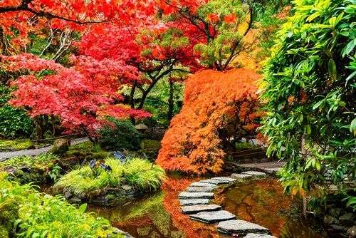 Papermoon Fototapete »JAPANISCHER GARTEN-BLUMEN BÄUME SEE NATUR HERBST WALD günstig online kaufen