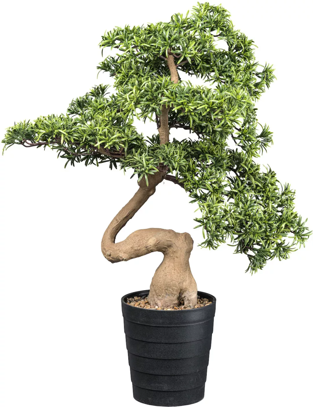 Creativ green Kunstbonsai "Bonsai Steineibe", in toller Größe günstig online kaufen