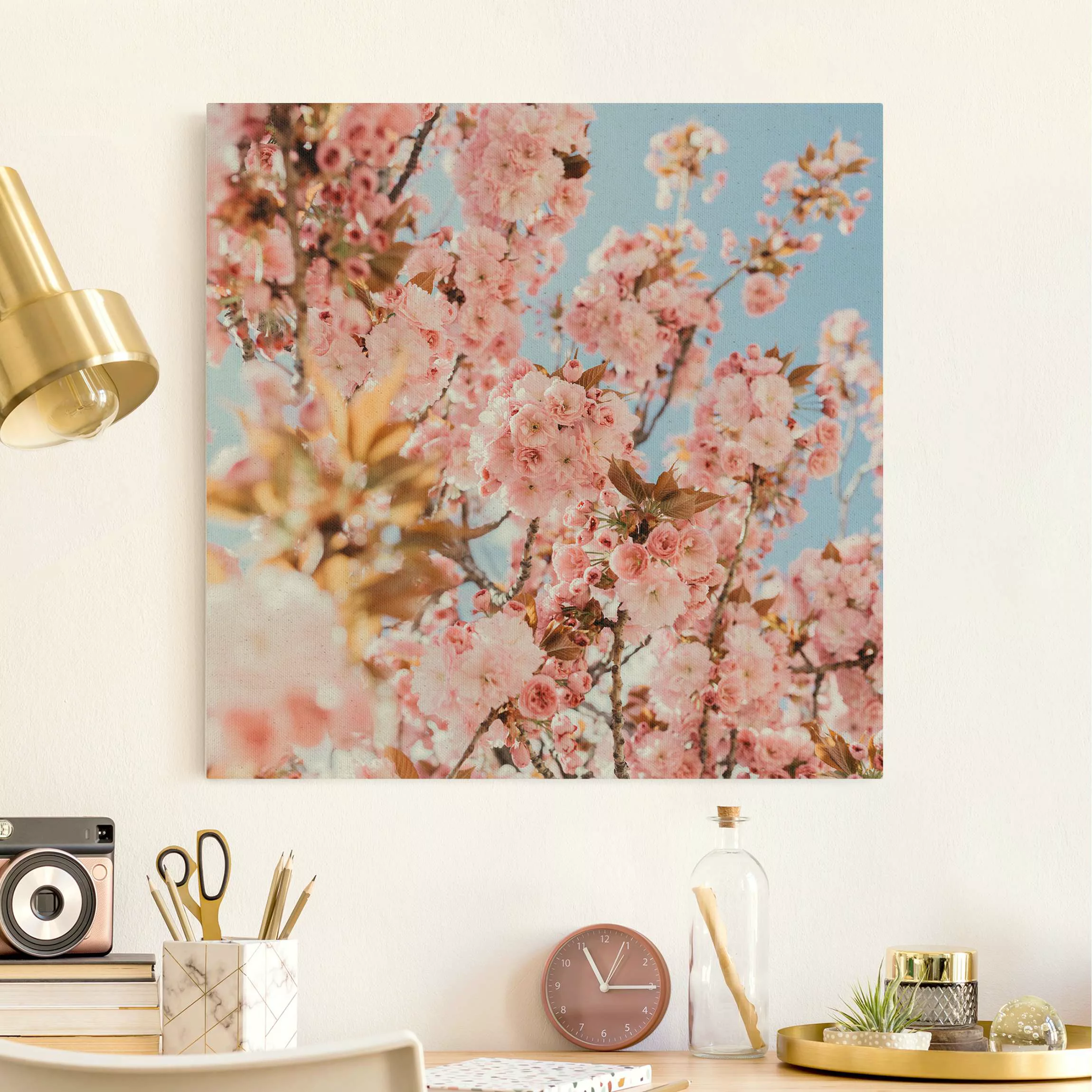 Leinwandbild auf Naturcanvas Rosa Kirschblütentraum günstig online kaufen