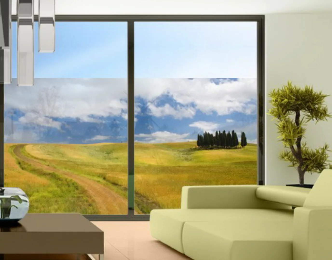 Fensterfolie Zypressen in der Toskana günstig online kaufen