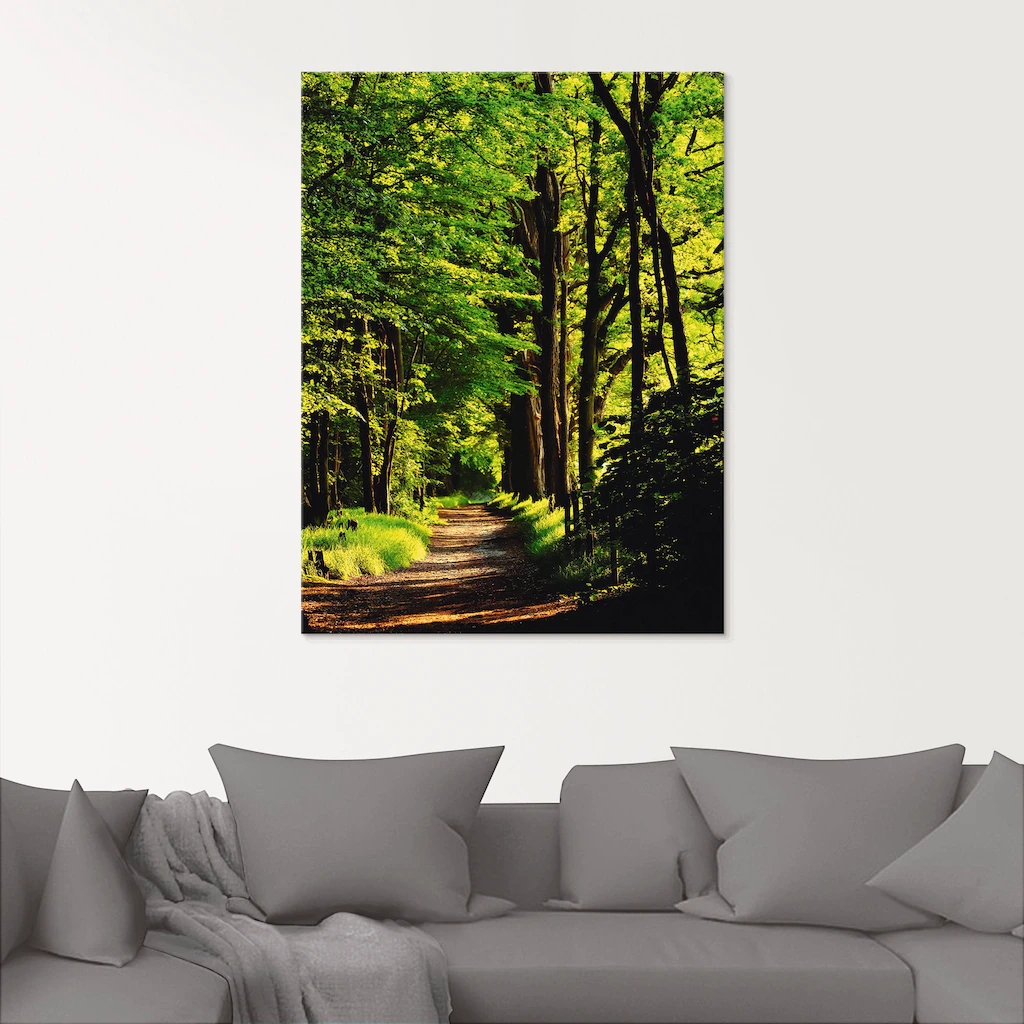 Artland Glasbild "Weg im Wald", Wald, (1 St.), in verschiedenen Größen günstig online kaufen