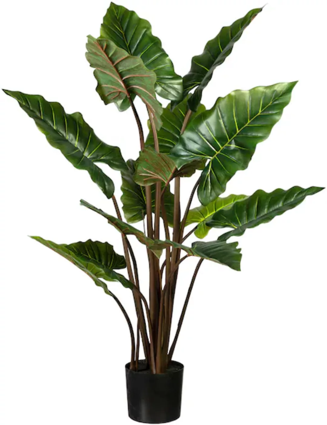 Creativ green Künstliche Zimmerpflanze »Taropflanze« günstig online kaufen