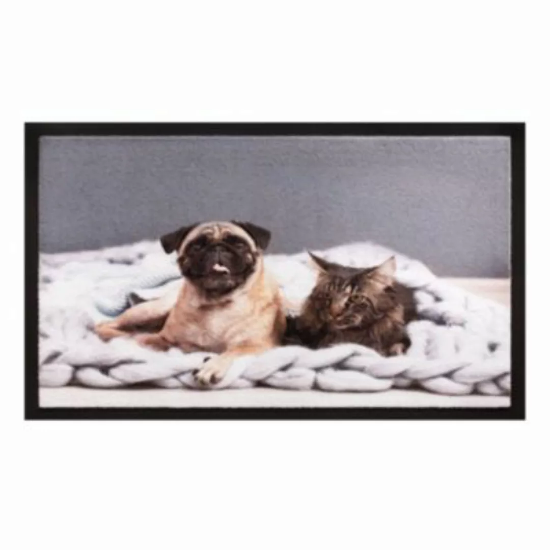 HTI-Living Fußmatte 40x60 cm Image Cat   Dog bunt Gr. 40 x 40 günstig online kaufen