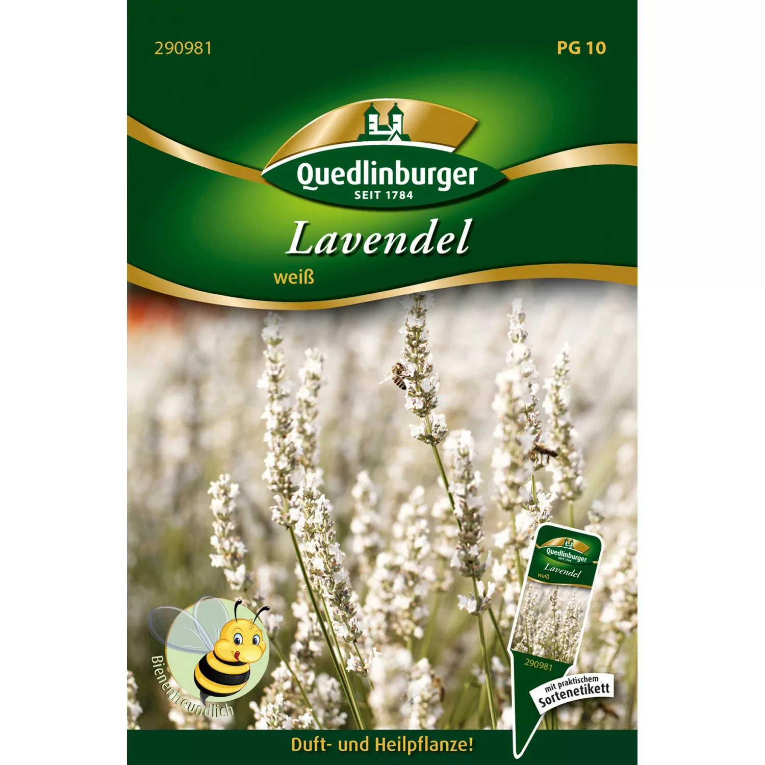 Quedlinburger Lavendel ''Ellagance Snow'' Weiß günstig online kaufen