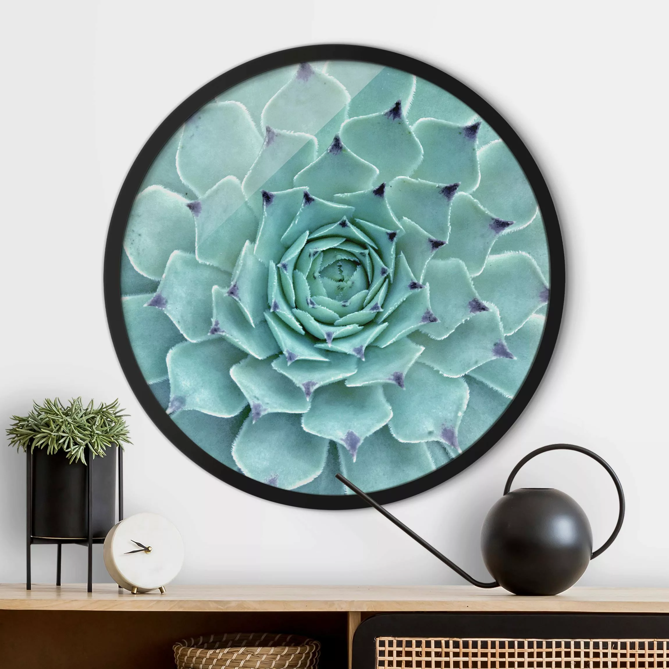 Rundes Gerahmtes Bild Kaktus Agave günstig online kaufen