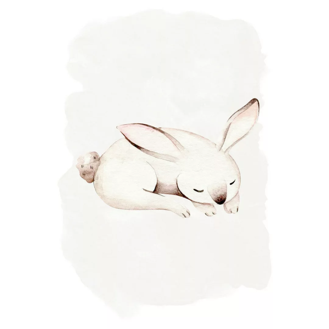 Komar Poster "Sleepy Bunny", (1 St.), Kinderzimmer, Schlafzimmer, Wohnzimme günstig online kaufen