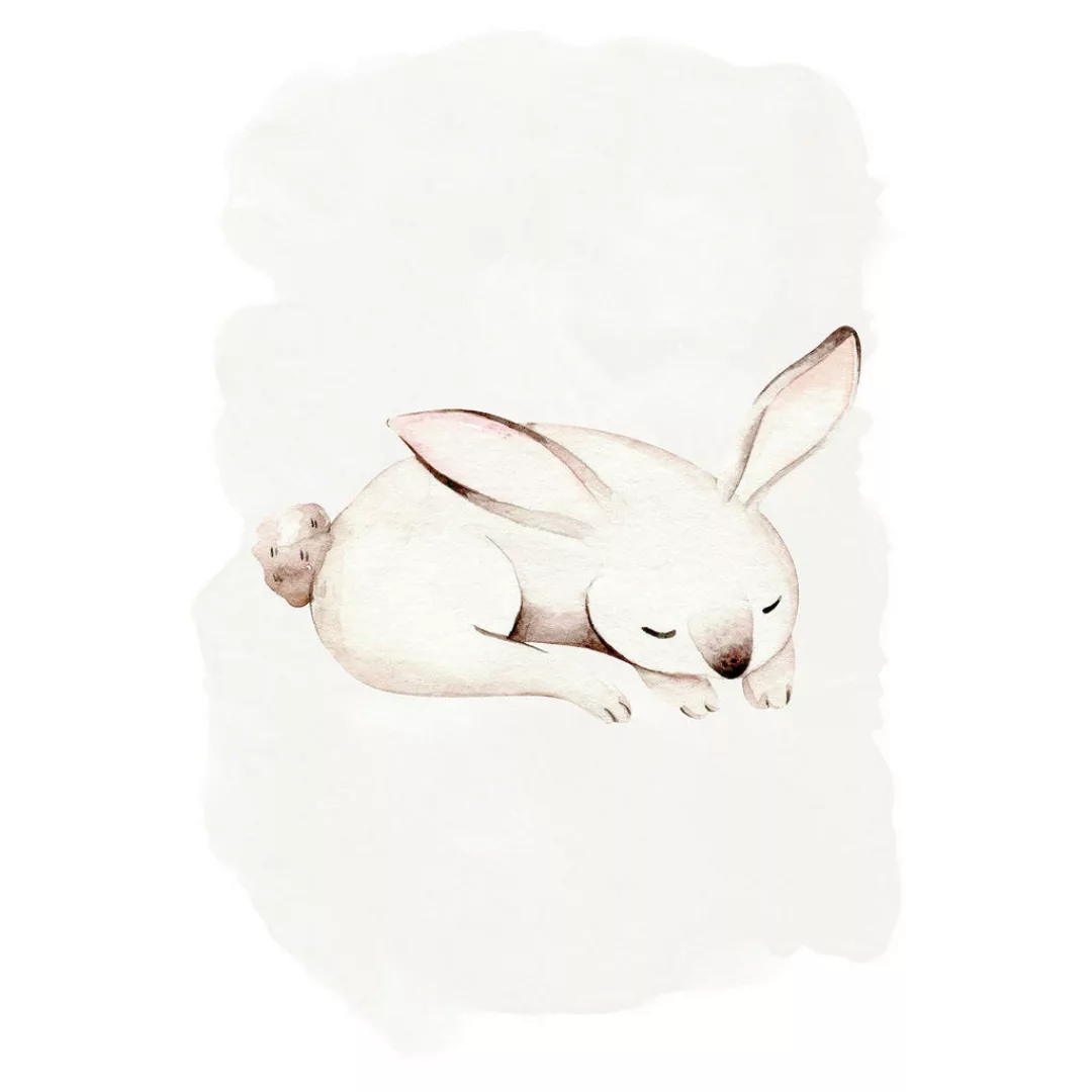 Komar Wandbild Sleepy Bunny Waldtiere B/L: ca. 50x70 cm günstig online kaufen