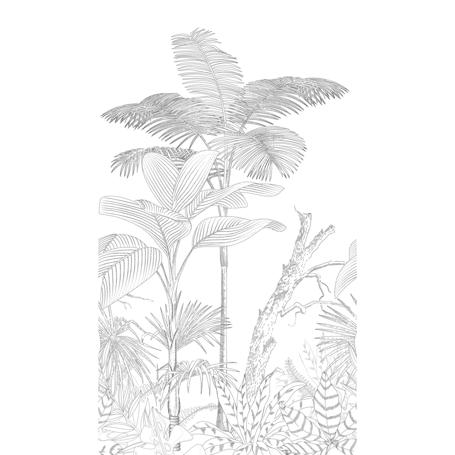 Livingwalls Fototapete Tropische Blätter Schwarz und Weiß 159 x 280 cm AS-3 günstig online kaufen