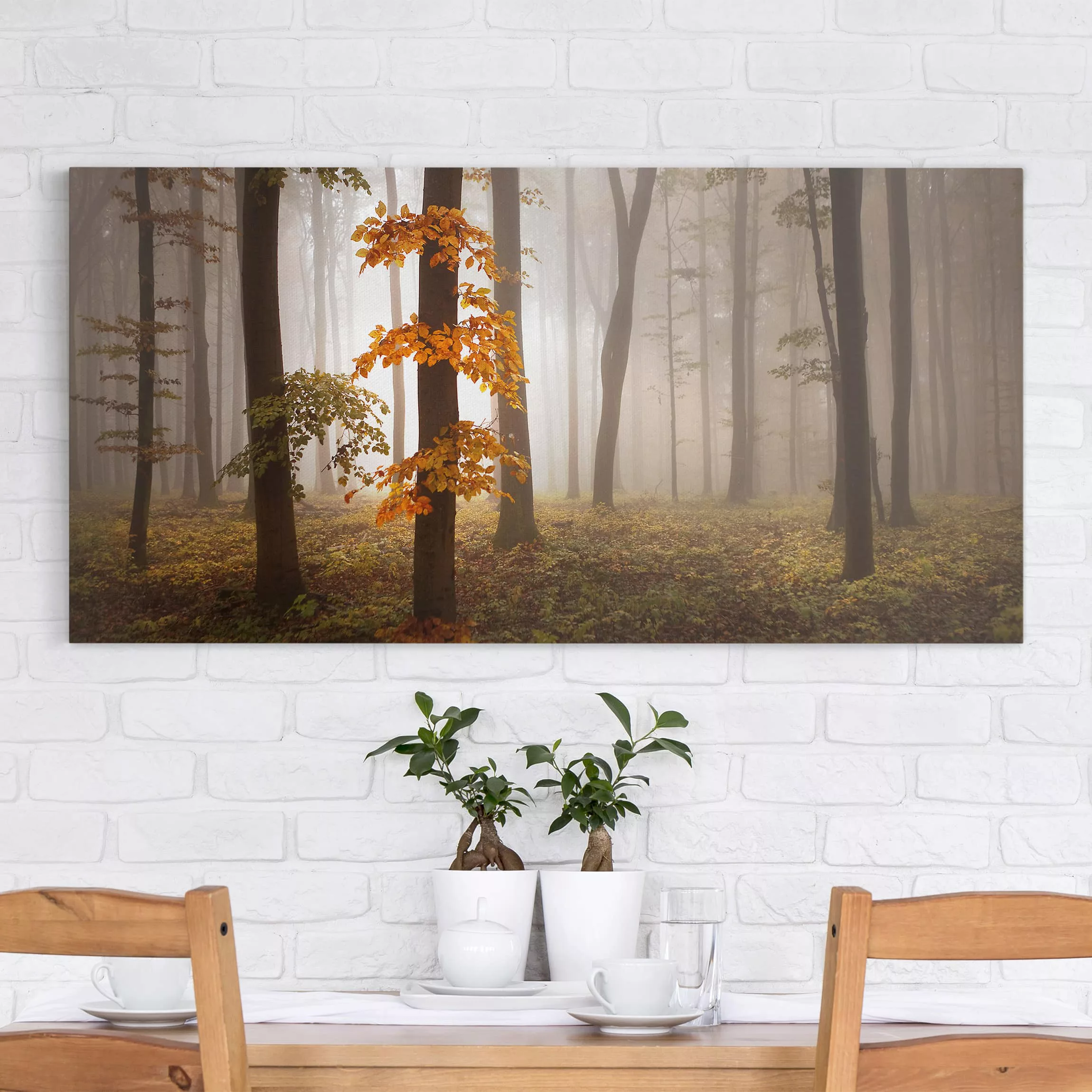 Leinwandbild Wald - Querformat Novemberwald günstig online kaufen