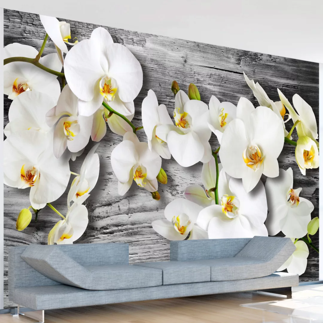 Fototapete - Callous orchids III günstig online kaufen
