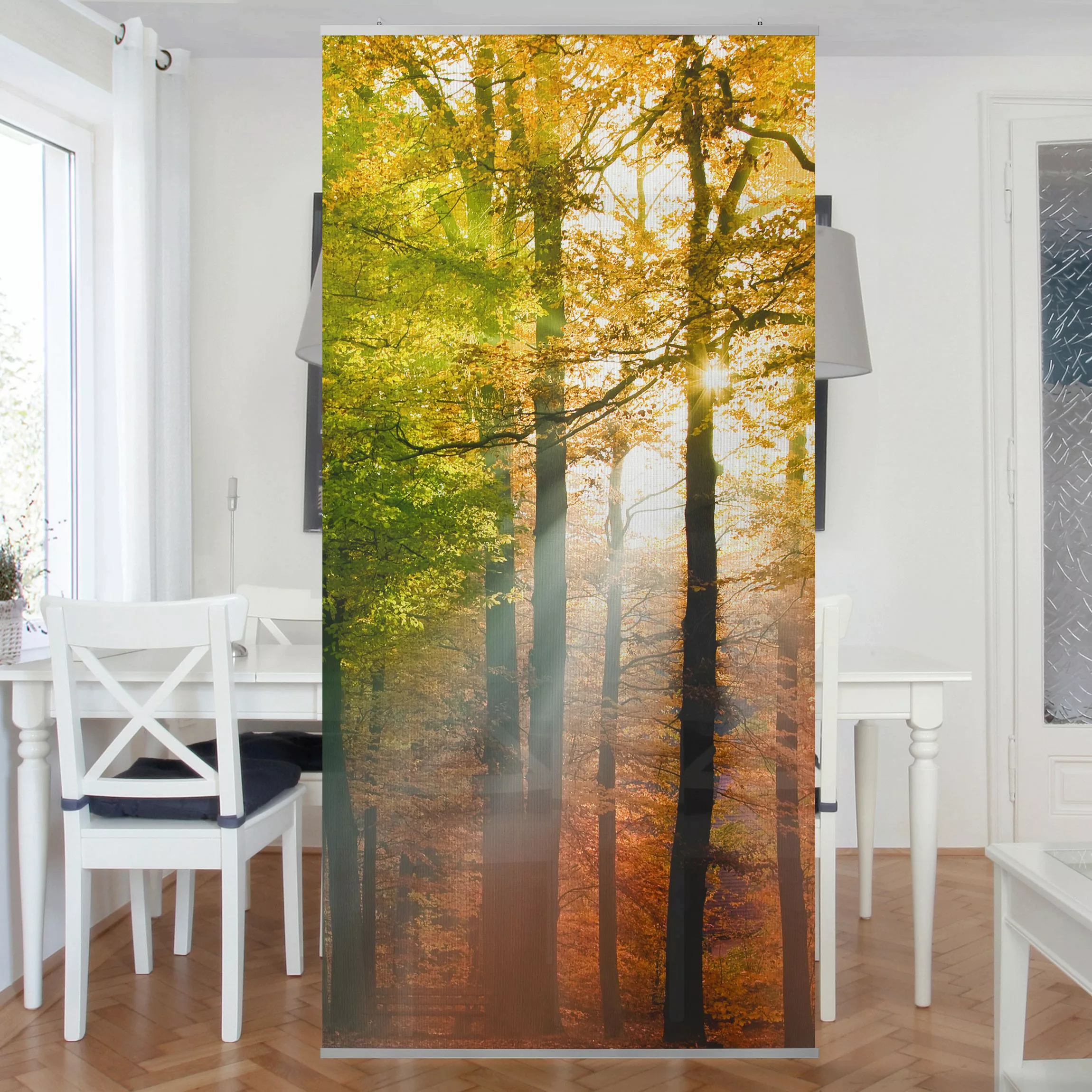 Raumteiler Natur & Landschaften Morning Light günstig online kaufen