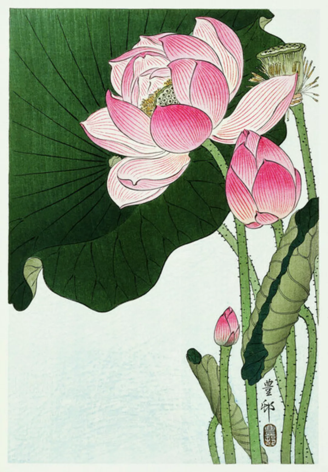 Poster / Leinwandbild - Blühende Lotusblumen Von Ohara Koson günstig online kaufen