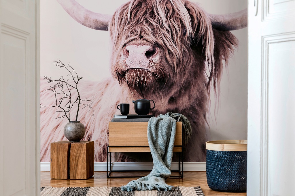 living walls Fototapete »ARTist Highland Cattle«, Vlies, Wand, Schräge günstig online kaufen