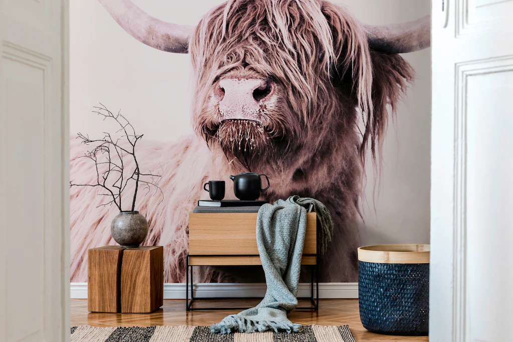 living walls Fototapete »ARTist Highland Cattle«, Vlies, Wand, Schräge günstig online kaufen