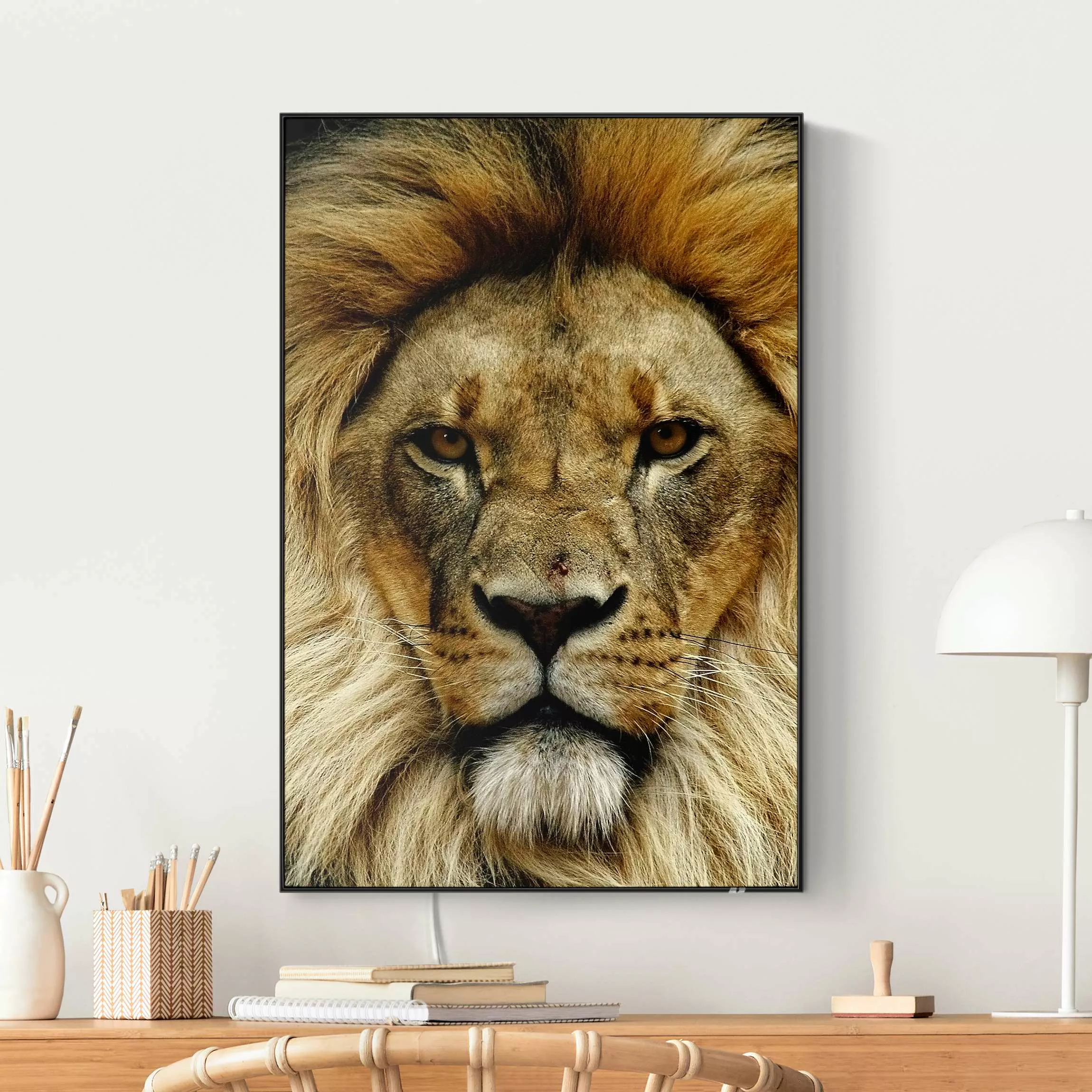 LED-Wechselbild Wisdom of Lion günstig online kaufen