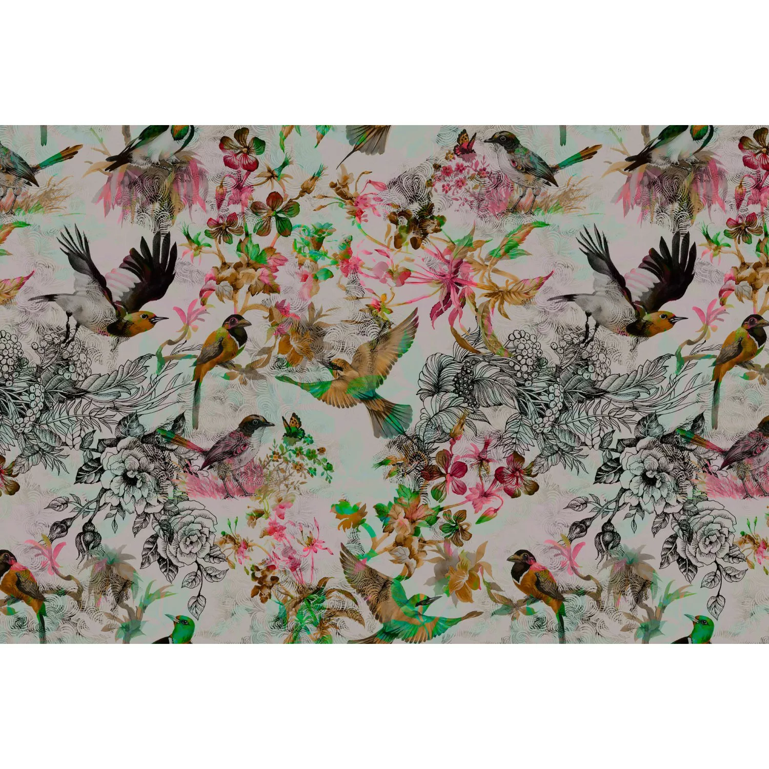 Fototapete Blumen Vögel Bunt Grün Orange 4,00 m x 2,70 m FSC® günstig online kaufen