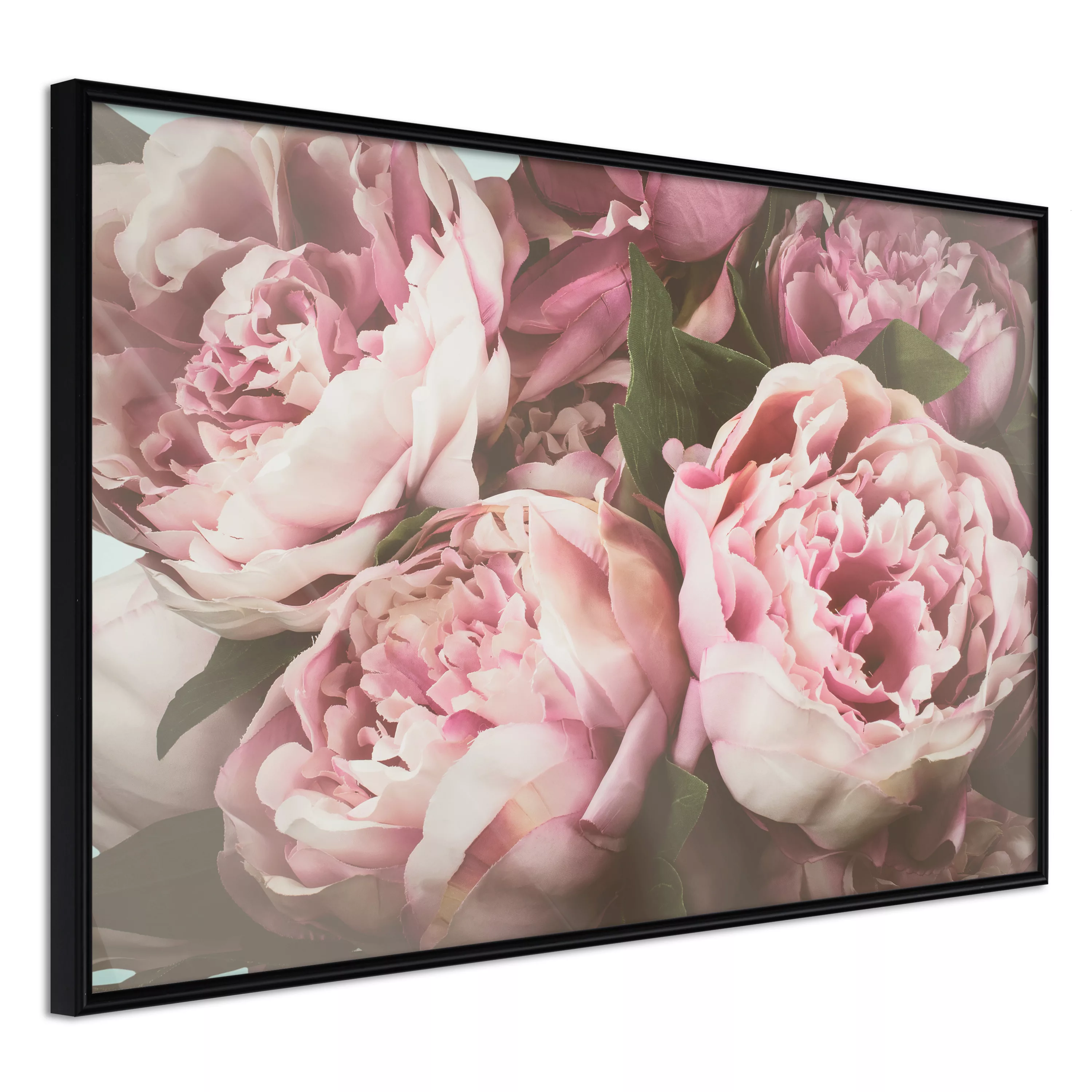 Poster - Pastel Peonies günstig online kaufen