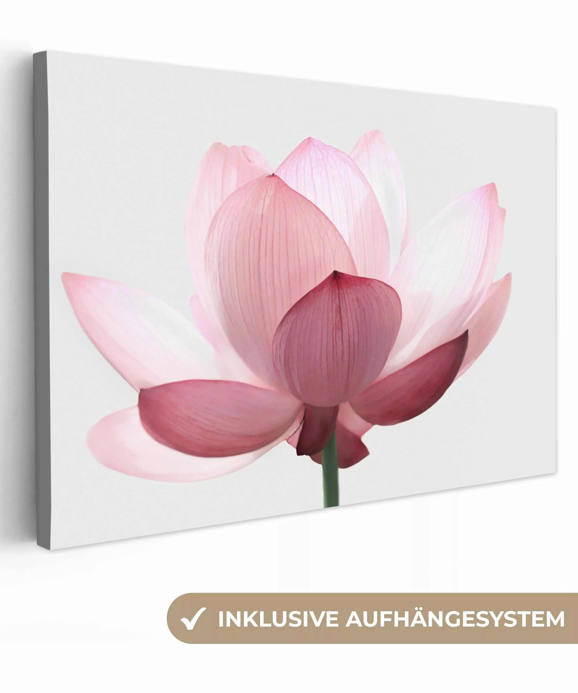 OneMillionCanvasses® Leinwandbild Blumen - Rosa - günstig online kaufen